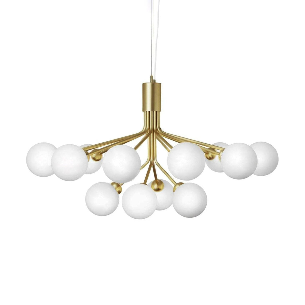 Apiales Hanging Light Fixture