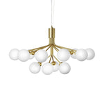 Apiales Hanging Light Fixture