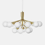 Apiales Hanging Light Fixture