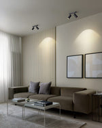 Dual-Head Track Downlight Fixture