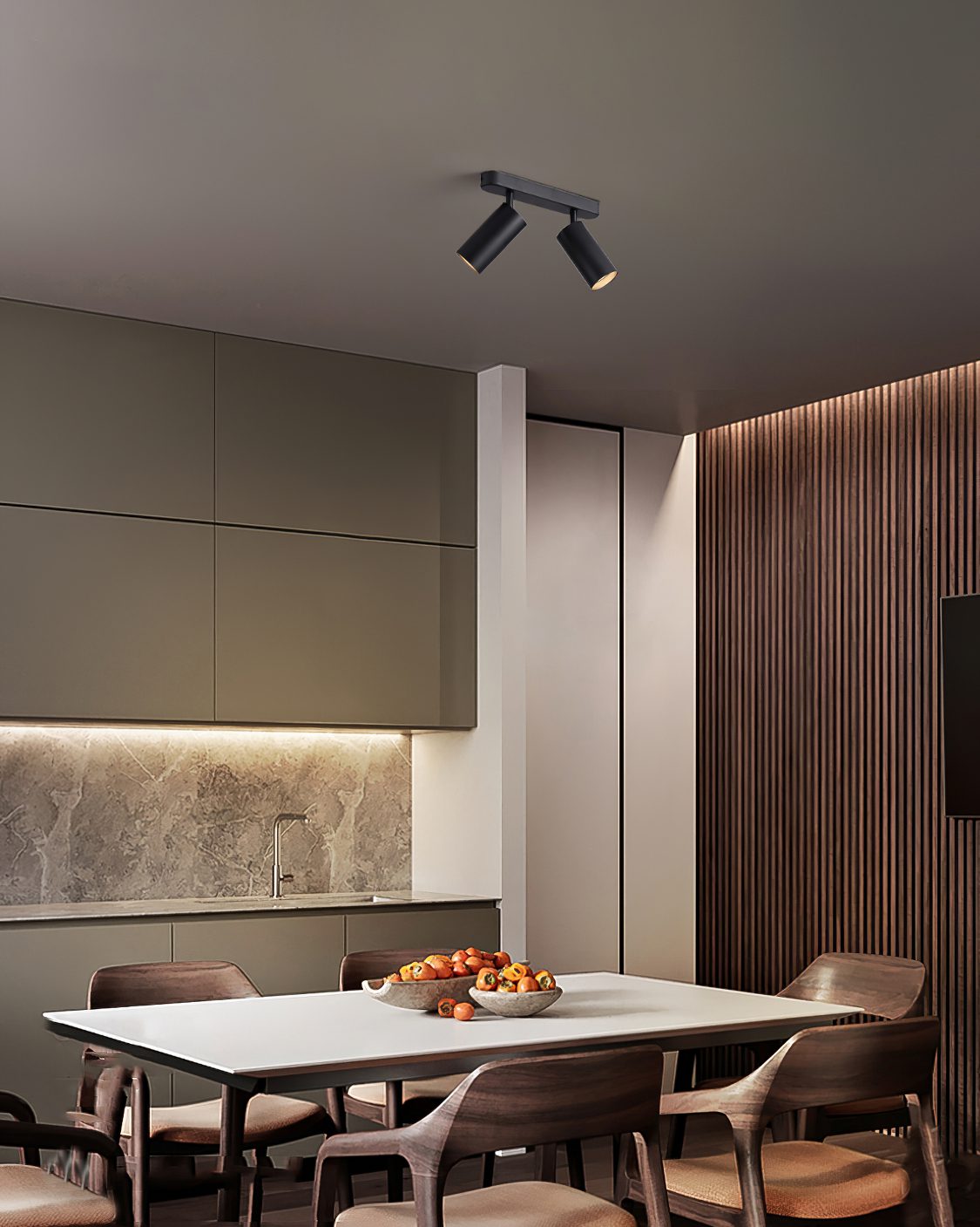 Dual-Head Track Downlight Fixture