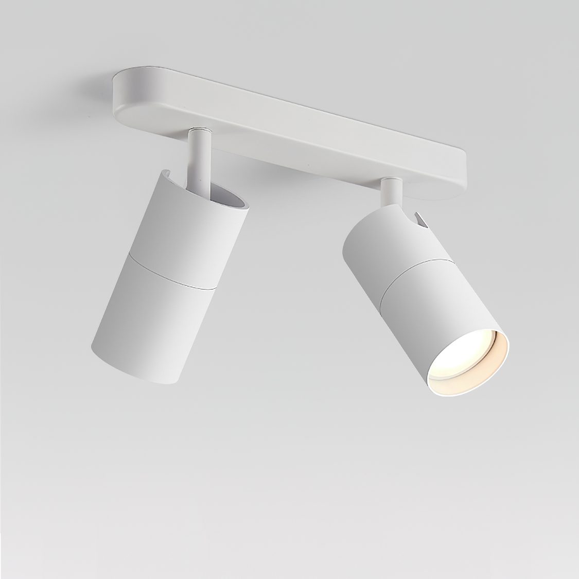 Dual-Head Track Downlight Fixture