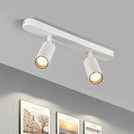 Dual-Head Track Downlight Fixture