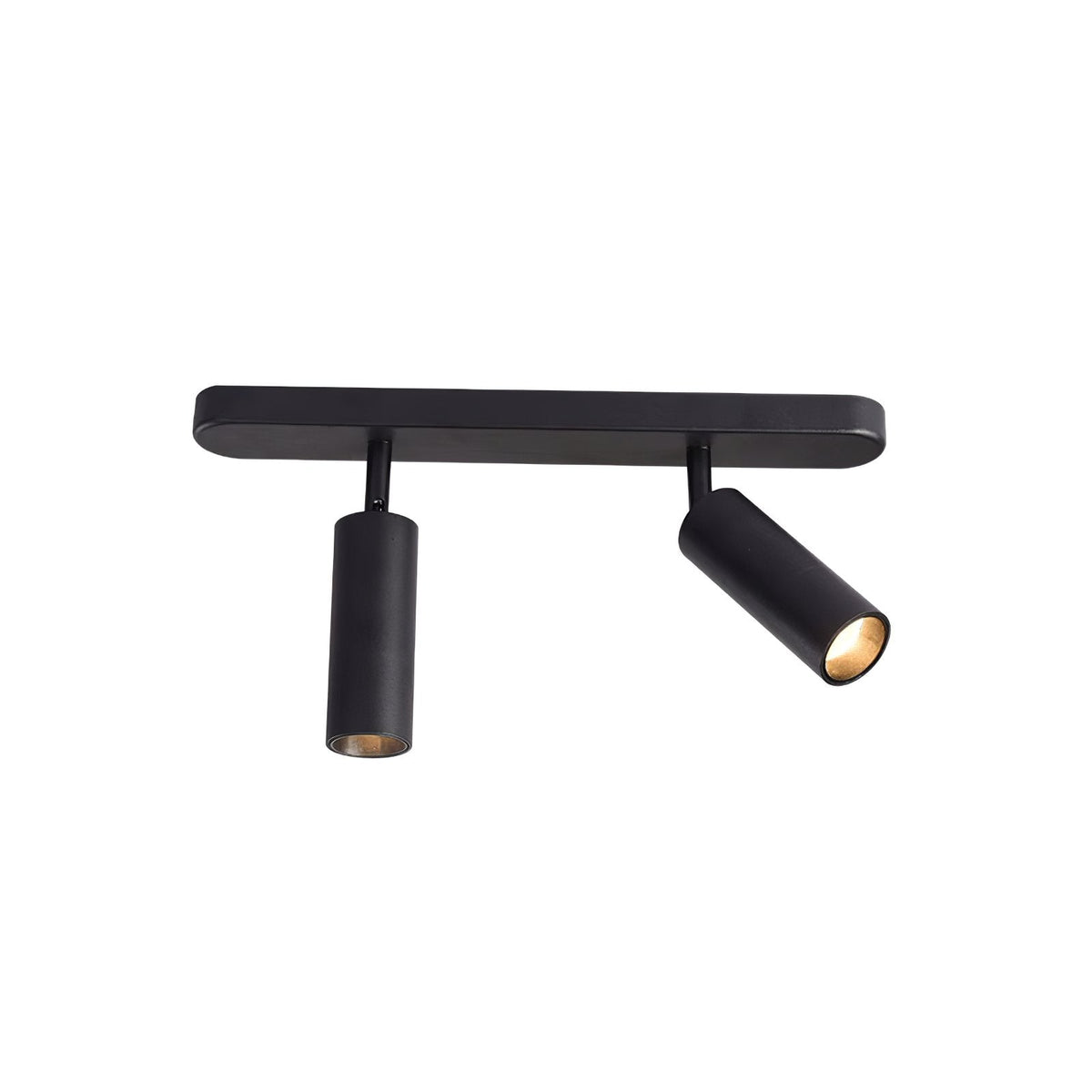 Dual-Head Track Downlight Fixture