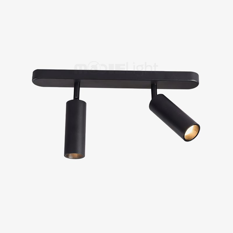 Dual-Head Track Downlight Fixture