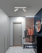 Dual-Head Track Downlight Fixture