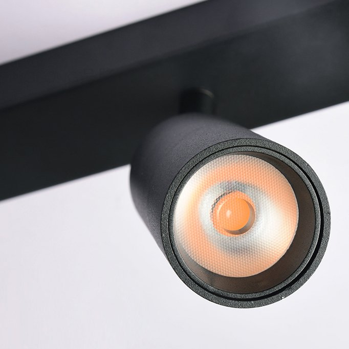 Dual-Head Track Downlight Fixture