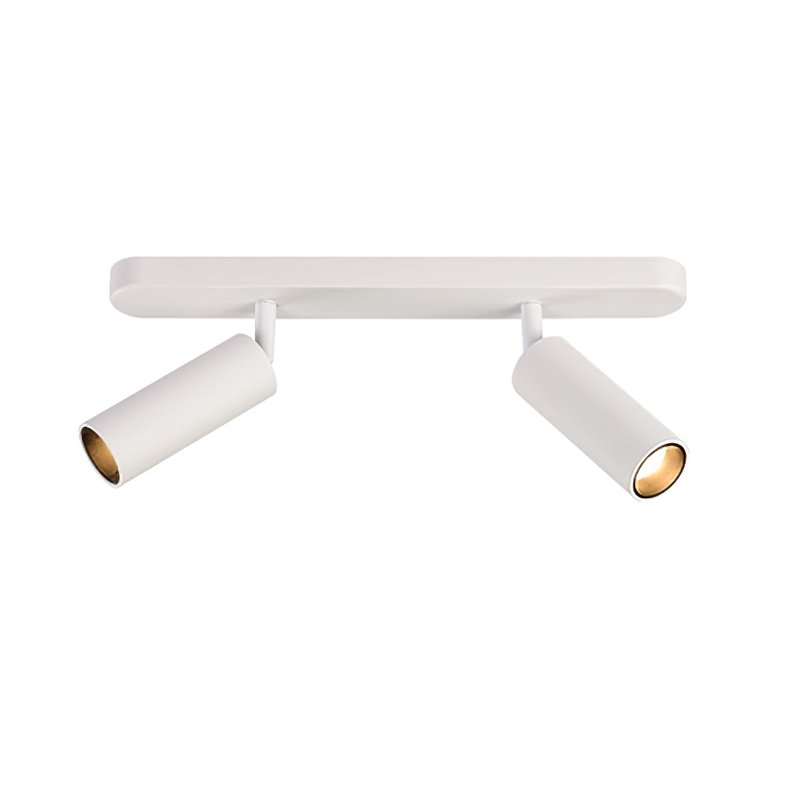 Dual-Head Track Downlight Fixture