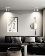 Dual-Head Track Downlight Fixture