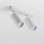 Dual-Head Track Downlight Fixture