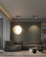 Dual-Head Track Downlight Fixture