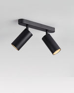 Dual-Head Track Downlight Fixture