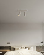 Dual-Head Track Downlight Fixture