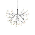 black-firefly-led-chandelier