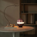 Bolleke Built In Battery Table Lamp