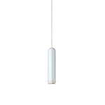 Brixton Hanging Ceiling Light