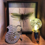 LED Table Lamp with Crystal Bulb