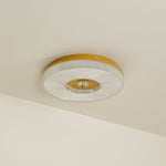 Ayla Led Flush Mount Ceiling Light