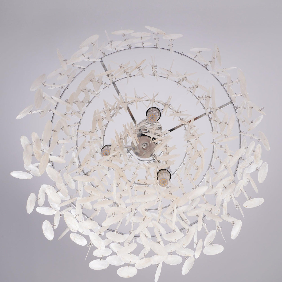 Shell Pendant Lamp