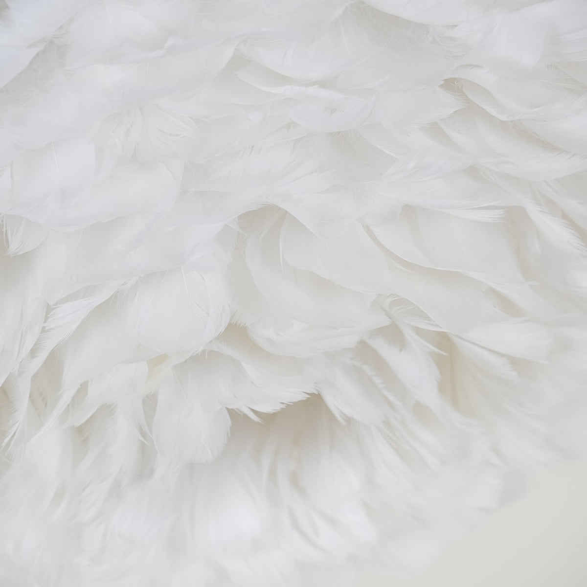 Eos Ceiling Lamp