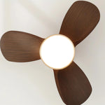 Talaya Ceiling Fan Light 25028518