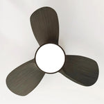 Talaya Ceiling Fan Light 25028518