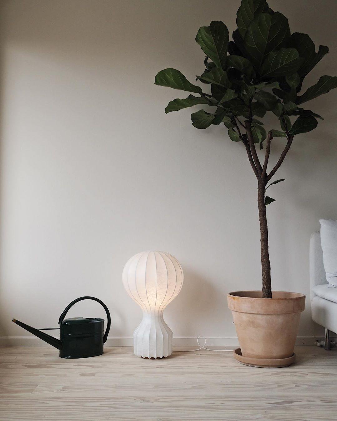 Gatto Table Lamp