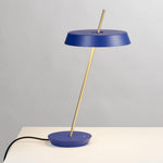 Round Base Desk Light by