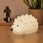 hedgehog-timing-night-light