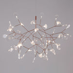 heracleum-chandelier