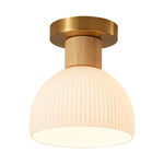 Horn Shaped Small Ceiling Lamp