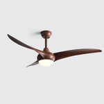 Ceiling Light with Integrated Indo