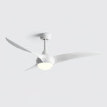 Ceiling Light with Integrated Indo