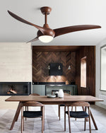 Ceiling Light with Integrated Indo