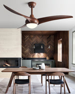 Ceiling Light with Integrated Indo