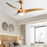 Ceiling Light with Integrated Indo