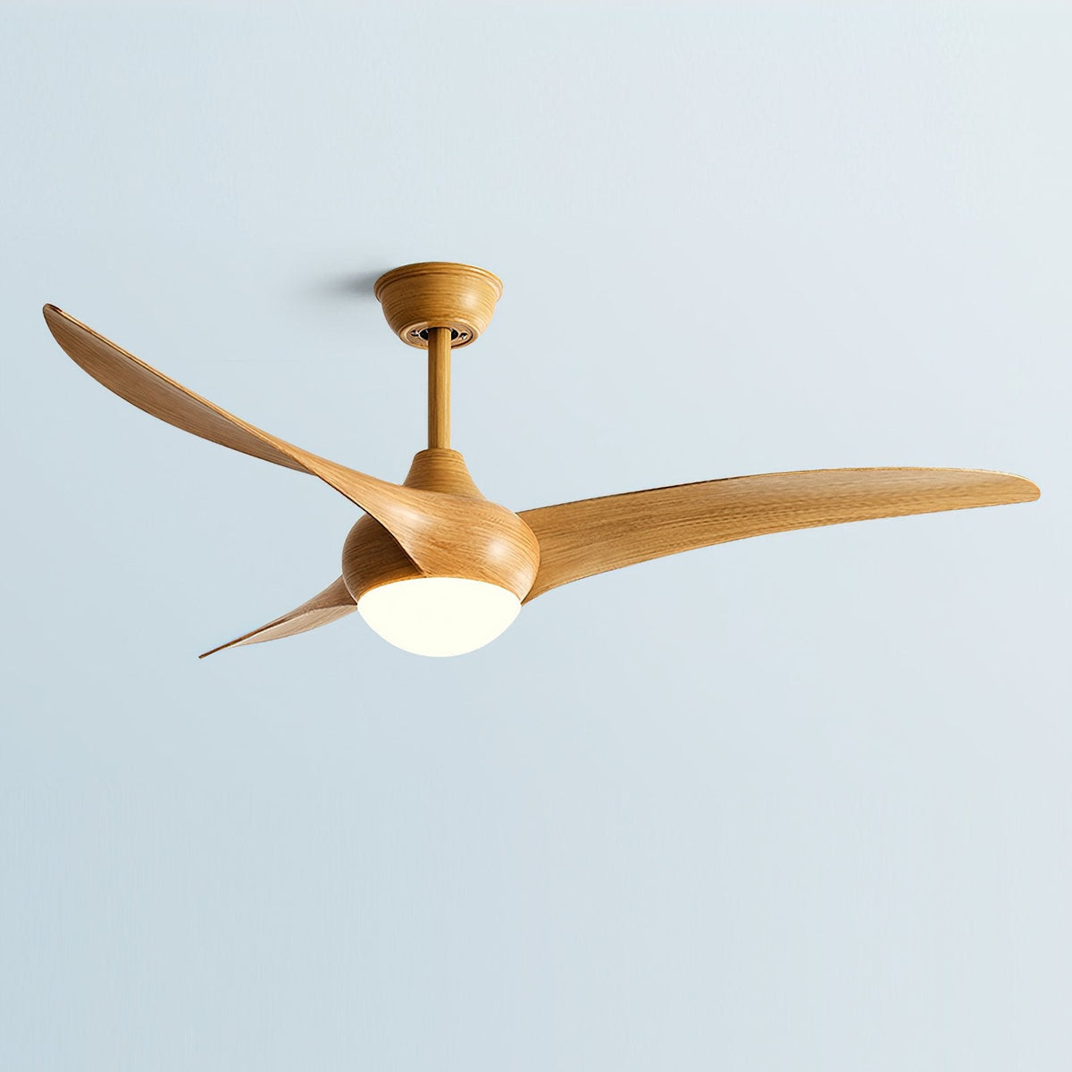 Ceiling Light with Integrated Indo