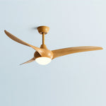 Ceiling Light with Integrated Indo