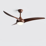 Ceiling Light with Integrated Indo