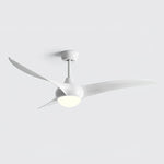 Ceiling Light with Integrated Indo