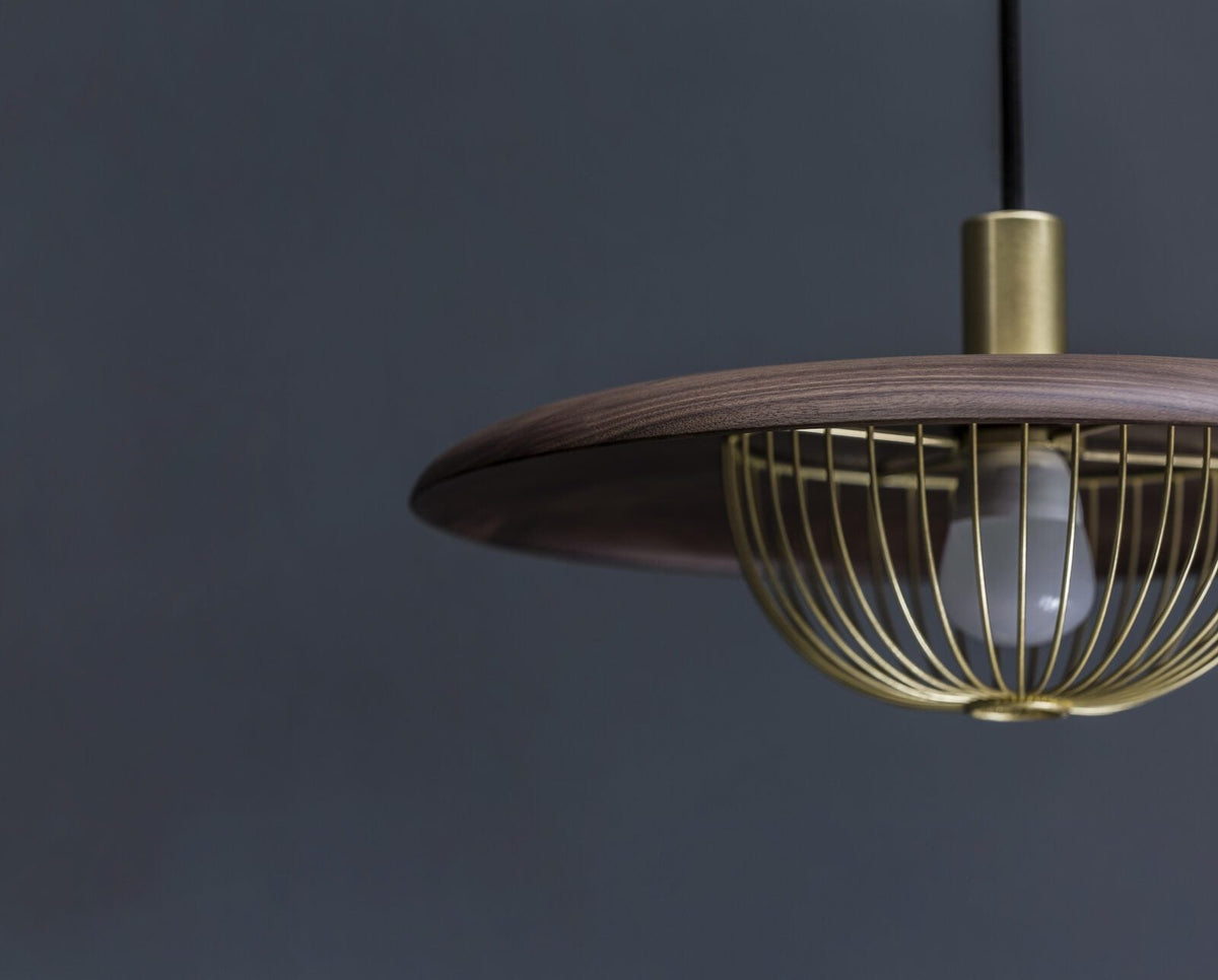 Kasa Hanging Ceiling Light