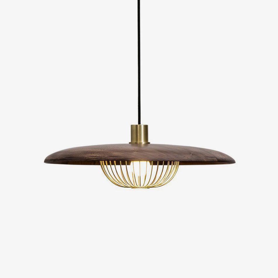 Kasa Hanging Ceiling Light