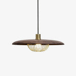 Kasa Hanging Ceiling Light