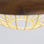 Kasa Hanging Ceiling Light