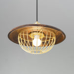 Kasa Hanging Ceiling Light