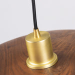 Kasa Hanging Ceiling Light