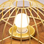 Kasa Hanging Ceiling Light