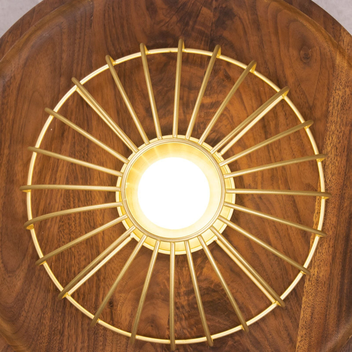 Kasa Hanging Ceiling Light