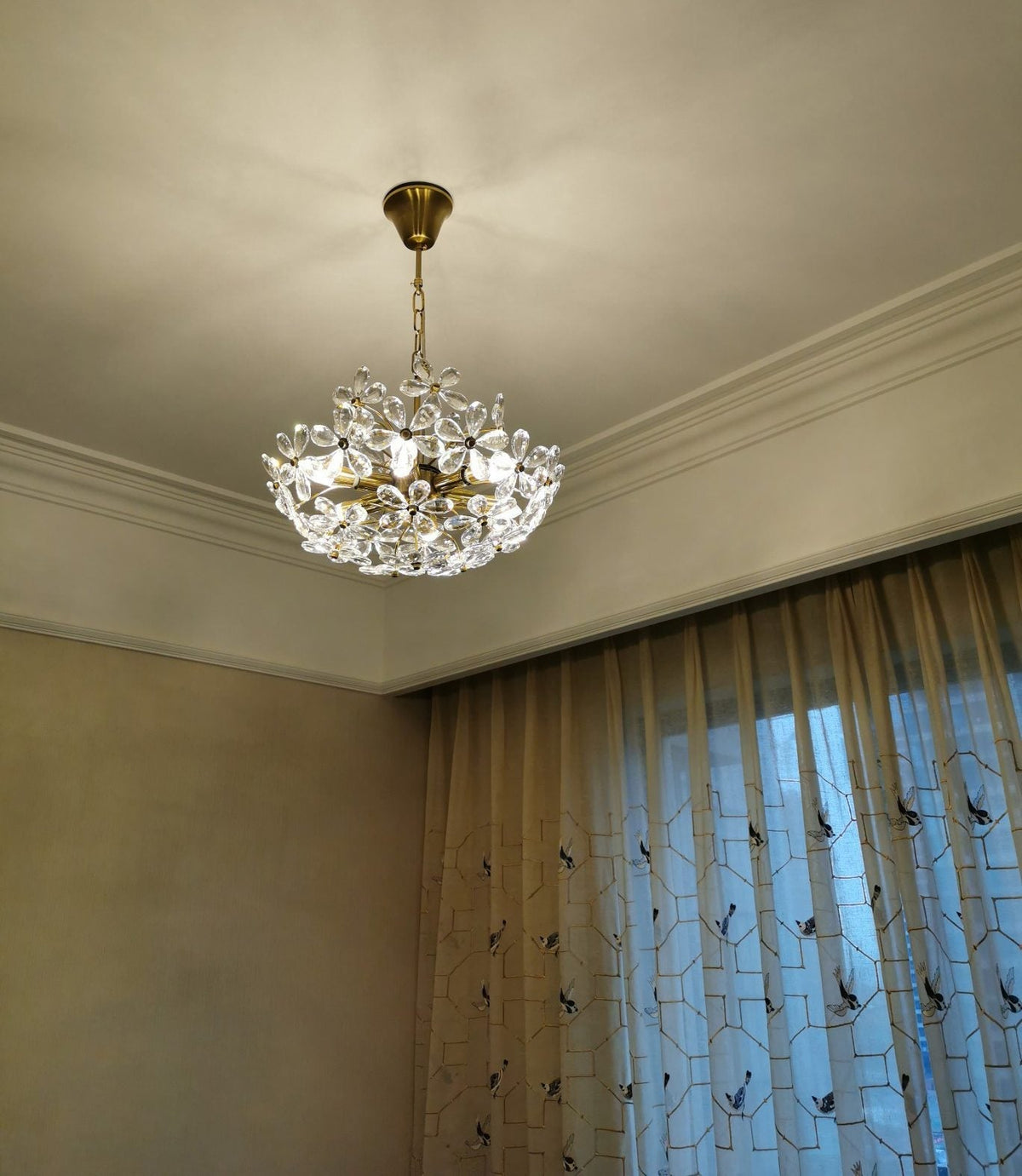 Premium Glass Hanging Lamp Fixture