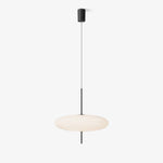 Model 2065 Pendant Lamp